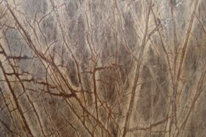 forest-brown